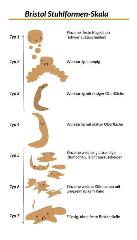 Der stuhlgang, auch defäkation oder egestion. Hellbrauner Stuhlgang / Konsistenz, farbe und häufigkeit der stuhlentleerung hängen von ...