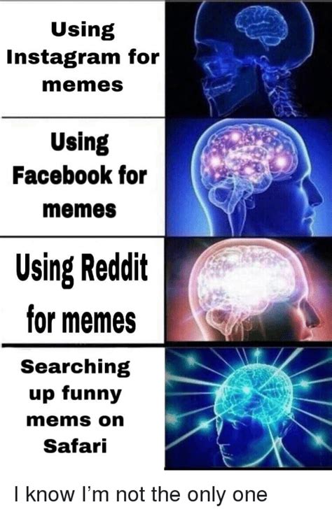 Using Instagram For Memes Using Facebook For Memes Using Reddit For