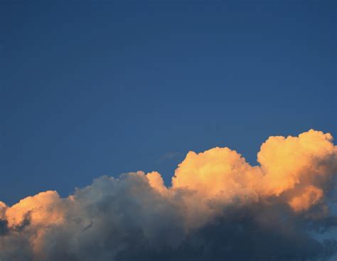 Tinted Cumulus Clouds Free Stock Photo Public Domain Pictures