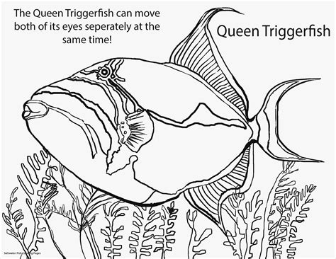 √ Realistic Tropical Fish Fish Coloring Pages Fischlexikon