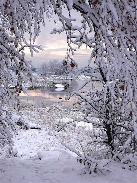 Pin By Mabel Tejera On Postales De Invierno Winter Scenery Winter
