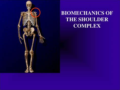 Ppt Biomechanics Of The Shoulder Complex Powerpoint Presentation
