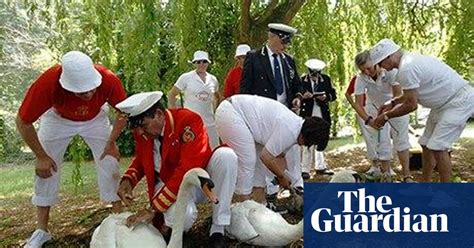 What Does The Queens Warden Of The Swans Actually Do Monarchy