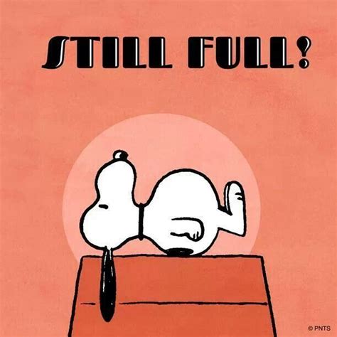 The harvest festival celebration for the first crop on the land is now one of the biggest family meal having occasion with full enjoyment. Snoopy still full TWO days after Thanksgiving. | Snoopy ...