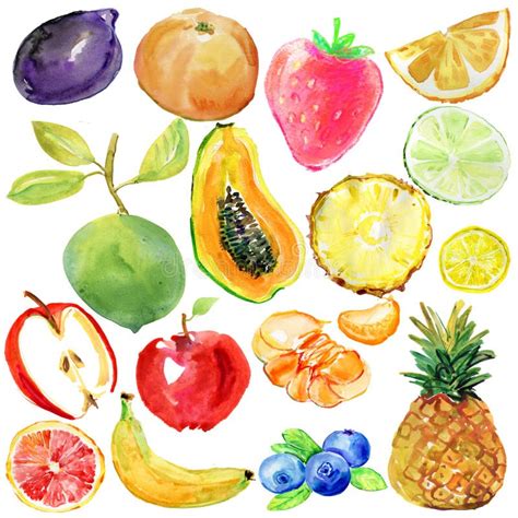 Collection Of Painted Watercolor Set Of Fruits Watercolor Illustration