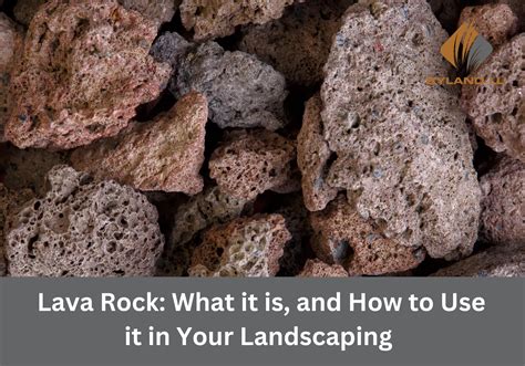 Lava Rock What It Is And How To Use It In Your Landscaping Ebyland Llc