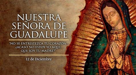 Sigue en vivo la transmisión de las mañanitas a la virgen de guadalupe. Día de la virgen de guadalupe, virgen morena desde ...
