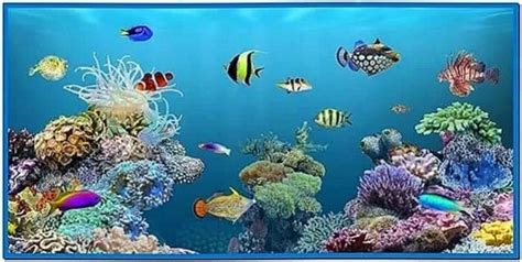 Live Fish Aquarium Screensaver Download Free