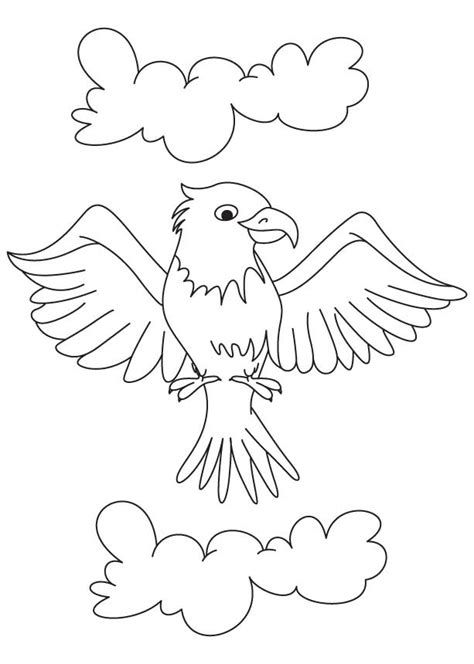 Cartoon Eagle Coloring Page Download Free Cartoon Eagle