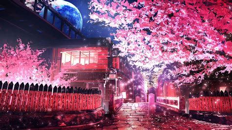 Cherry Blossoms In Anime Wallpapers Wallpaper Cave