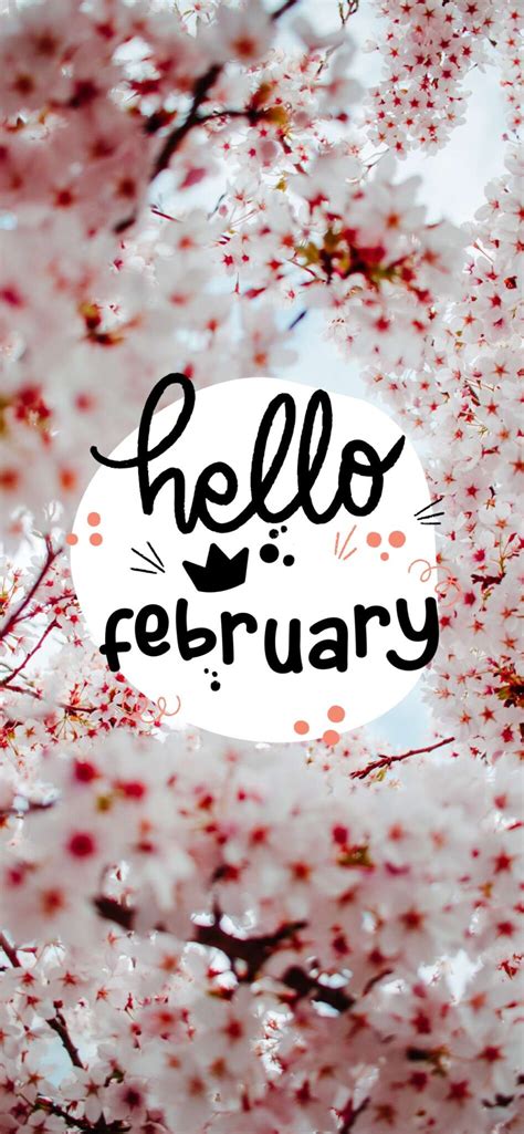 Hello February 50 Aesthetic Wallpapers For Your Phone