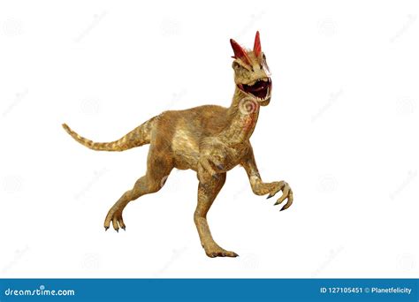 Dilophosaurus Theropoda Dinosaur Colorful Vector Illustration Of