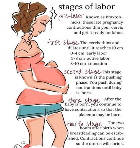Stages Of Labour Medizzy