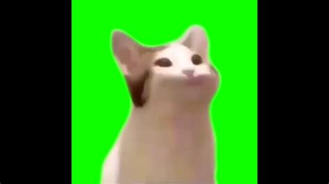 43 Pop Cats Meme 