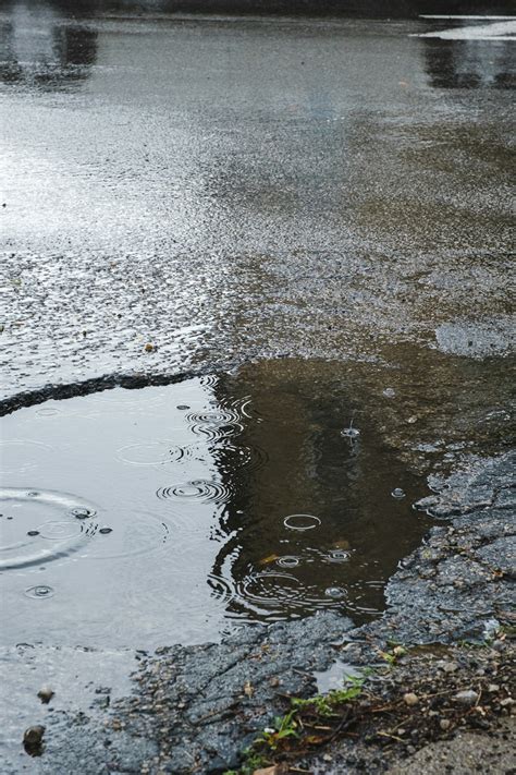 Water Puddle Pictures Download Free Images On Unsplash