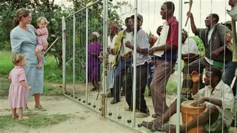 Zimbabwe Seized Farms Collapsed