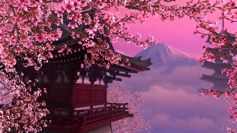 Cherry Blossoms Wallpapers Wallpaper Cave