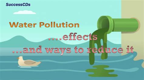 Water Pollution Effects And The Ways To Reduce It Youtube