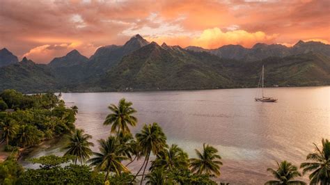 28 Best Things To Do In Moorea French Polynesia Moorea Travel Guide