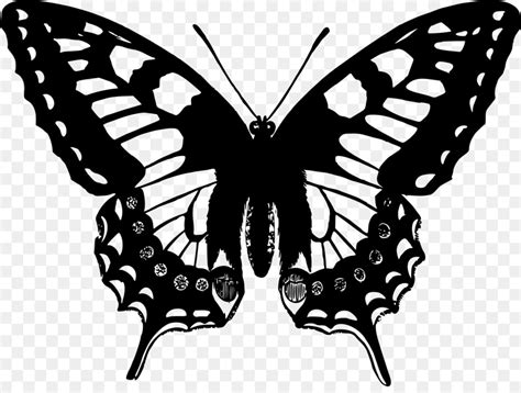 Butterfly Transparent Background Outline Drawing Images Img Weed