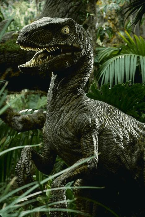 Spielbergs Subtleties In Jurassic Park Imdb V22