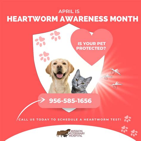 Heartworm Awareness Month Mission Veterinary Hospital