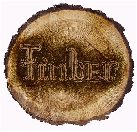 Timber bridge, a bridge made of wood. Katrick's Eyes: Timber Logo