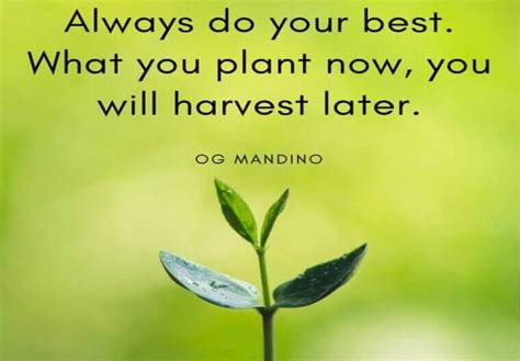 19 Planting Seeds Quotes To Start Your Journey To Fulfilment