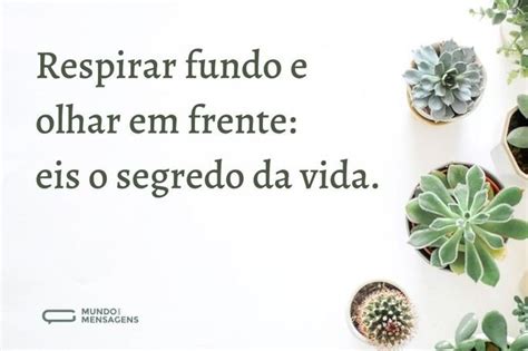 60 Frases Sobre A Vida Para Refletir E Se Inspirar Mundo Das Mensagens