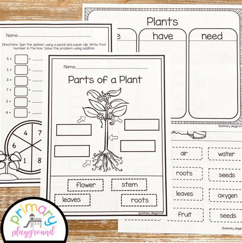 Plant Activities No Prep Pack Math Literacy And Science Primary