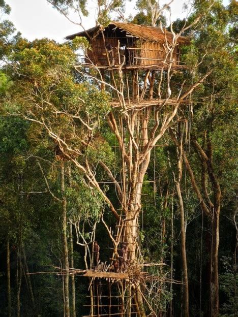 The High Life 12 Incredible Residential Tree House Designs Weburbanist