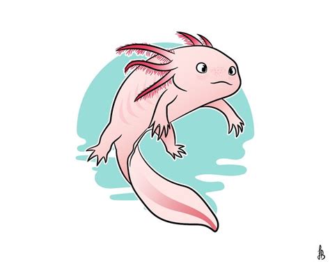 Axolotl Drawing