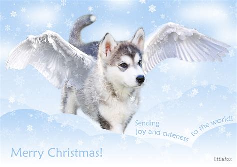 Angel Puppy Christmas Card By Mariann Rea Redbubble