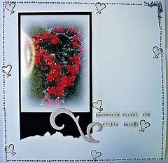 The Silent Whisper Petaluma Bid Farewell To Loved Ones