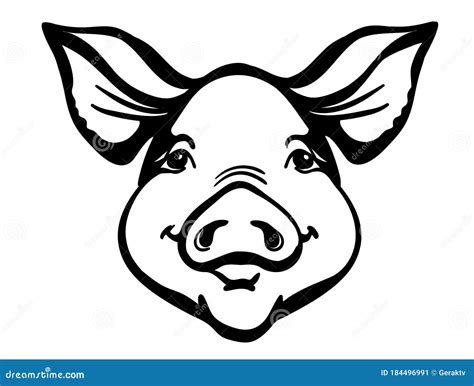 Pig Head Farm Animal Vector Black Graphic Illustration Isolated On