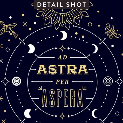 Per Aspera Ad Astra Pronunciation - Ad Astra Per Aspera • Art Print – CatCoq
