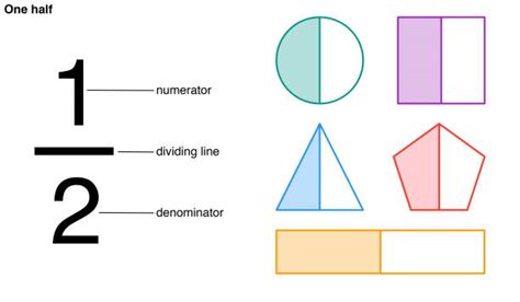One Half Fraction With The Numerator Dividing Line And Denominator