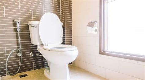 10 Best Upflush Toilets Of 2021 Macerating Toilet Reviews