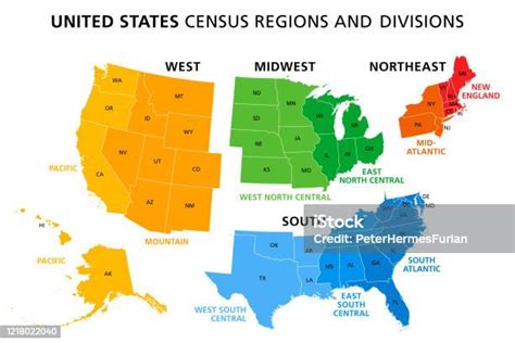 Ilustración De Mapa De Estados Unidos Dividido En Regiones Y Divisiones