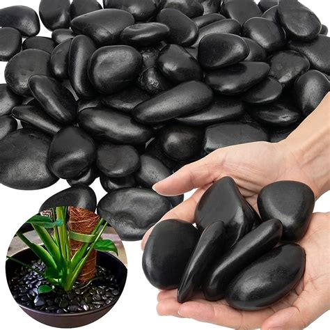 Black Rocks Landscaping Ideas With Pictures Popular Types 49 Off
