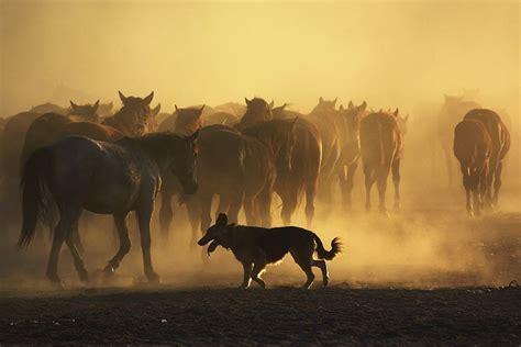 Todays Best Photos — National Geographic With Images Animals