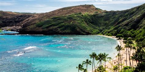 Hanauma Bay Snorkeling In Paradise And Nature Pure During Your