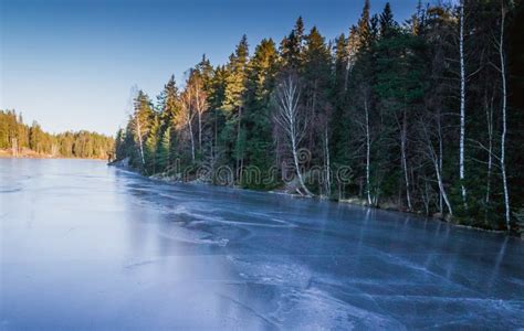 View Of A Frozen Lake In The Middle Of A Scandinavian Forest Stock