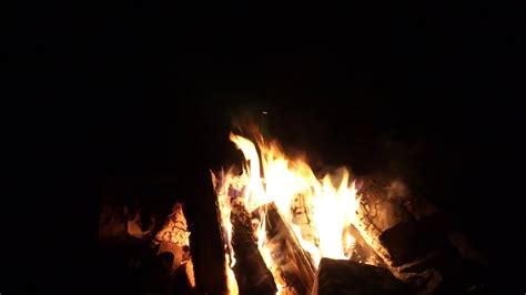 Relaxing Campfire Sounds By Night Youtube