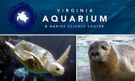 Virginia Aquarium And Marine Science Center In Virginia Beach Virginia