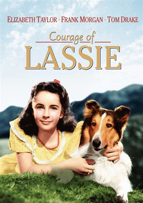 Courage Of Lassie Movie Posters From Movie Poster Shop