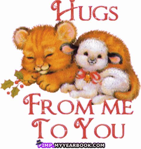 Hugs Hug From Me To You Sticker Hugs Hug From Me To You Friends