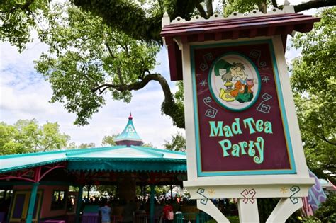 Mad Tea Party Tea Cups Magic Kingdom Walt Disney World