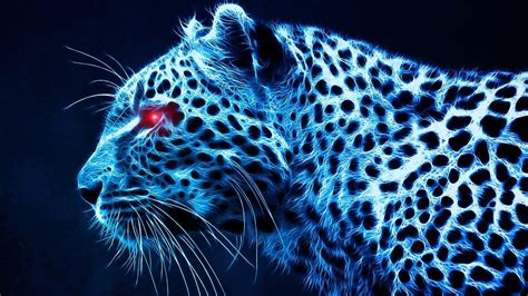 Cheetah Wallpapers Top Free Cheetah Backgrounds Wallpaperaccess
