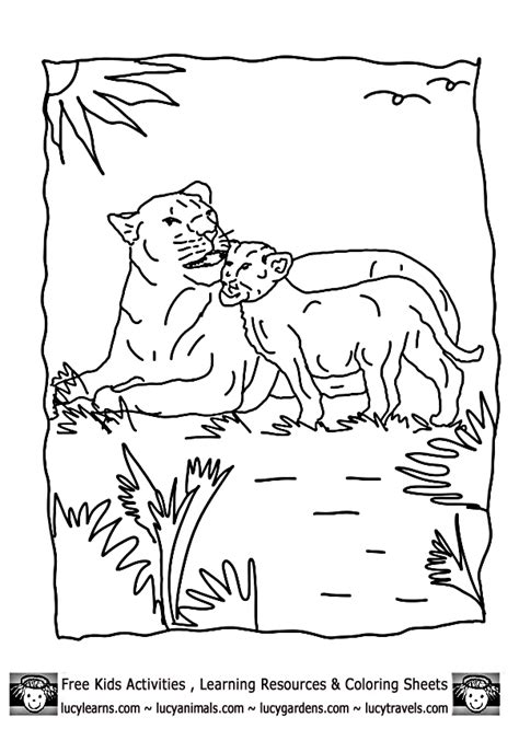 Lioness Coloring Pages Download And Print For Free